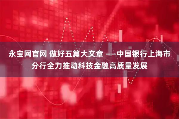 永宝网官网 做好五篇大文章 ——中国银行上海市分行全力推动科技金融高质量发展